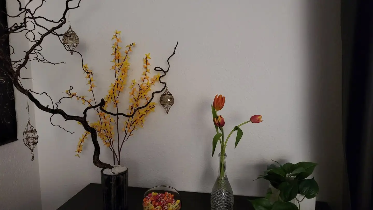 Single room for rent - Röthlerholzstrasse, 5406 Rütihof - Photo 3