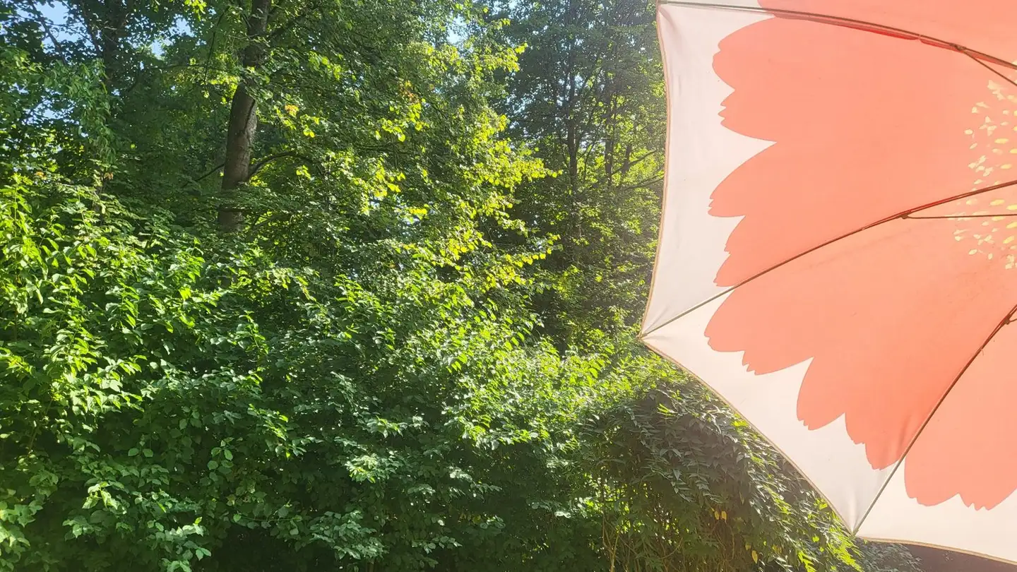 Single room for rent - Röthlerholzstrasse, 5406 Rütihof - Photo 4