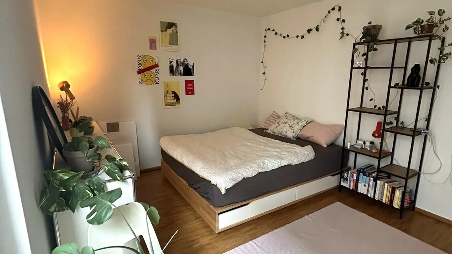 Chambre à louer - 8406 Winterthur