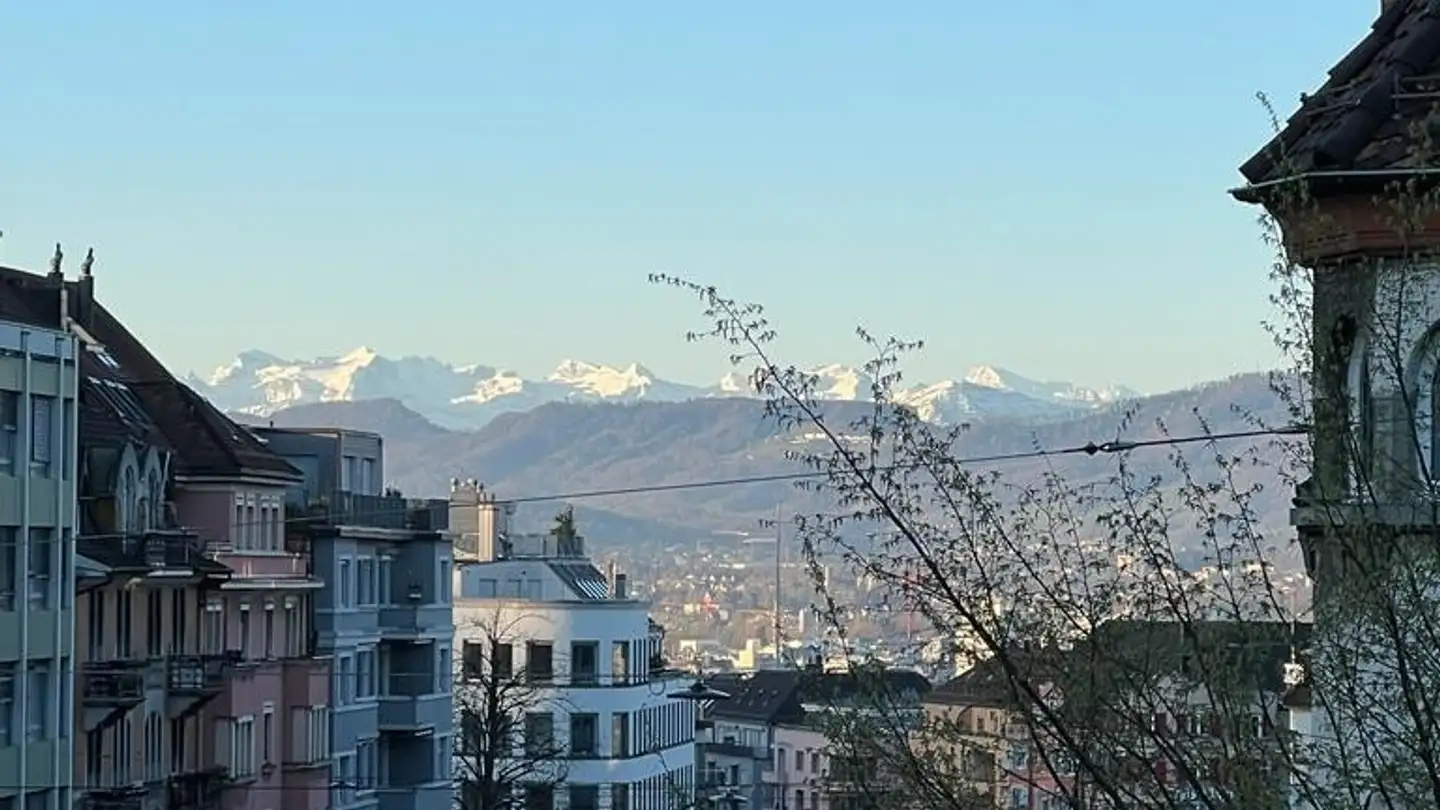 Single room for rent - Schaffhauserplatz, 8057 Zürich - Photo 2