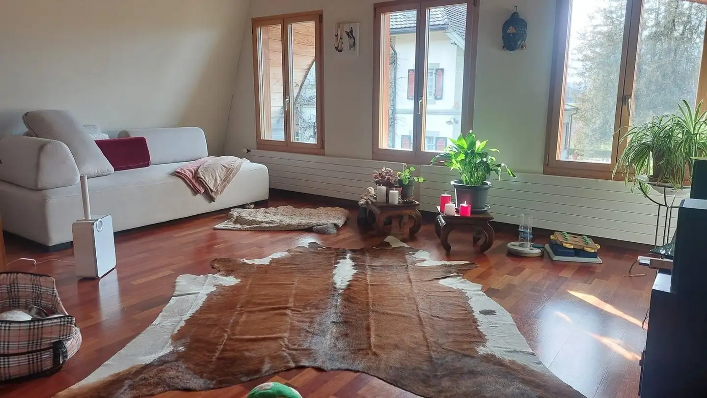 Appartamento in affitto - Luzernstrasse, 3082 Schlosswil - Foto 2