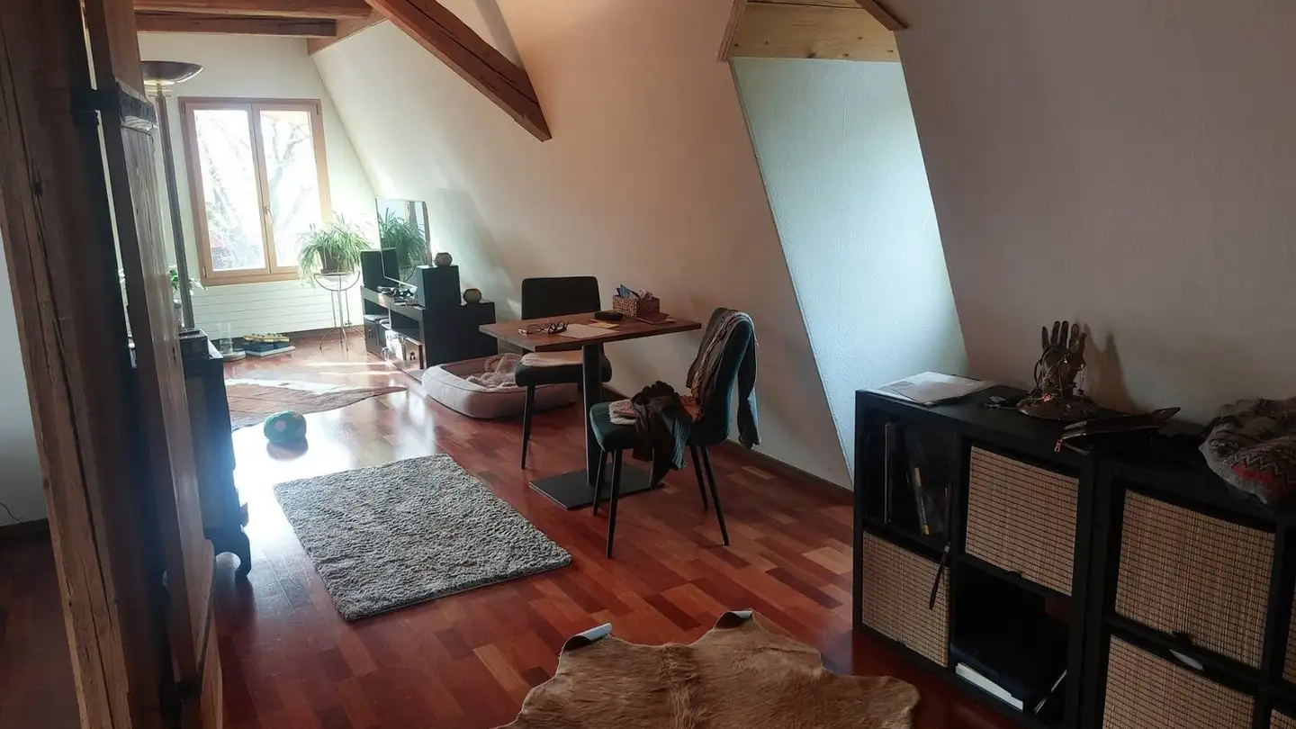 Appartamento in affitto - Luzernstrasse, 3082 Schlosswil - Foto 3