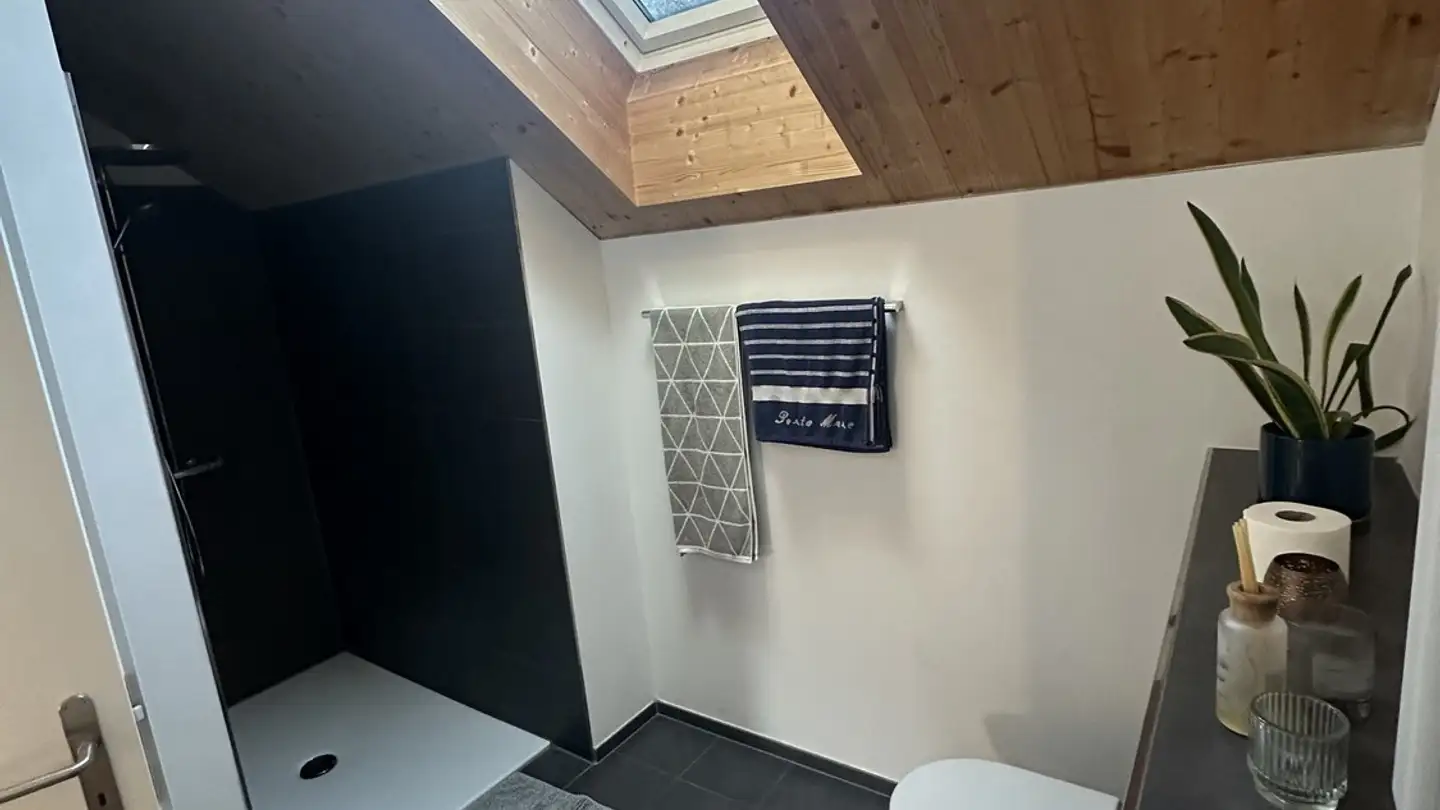 Single room for rent - Badenerstrasse 144, 8004 Zürich - Photo 4