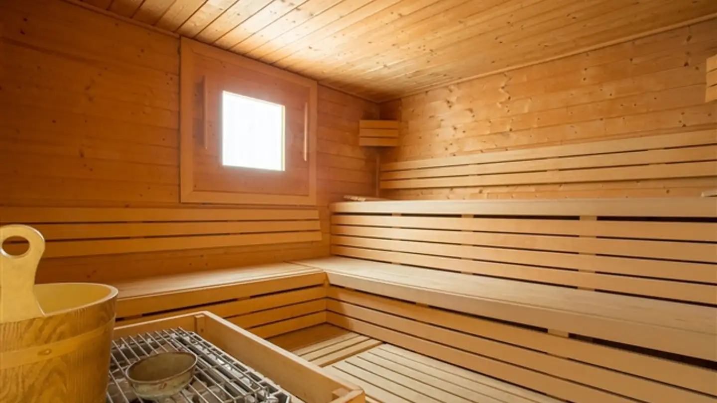 Appartamento in affitto - Chemin Des Aulx, 1228 Plan-les-Ouates - Foto 4