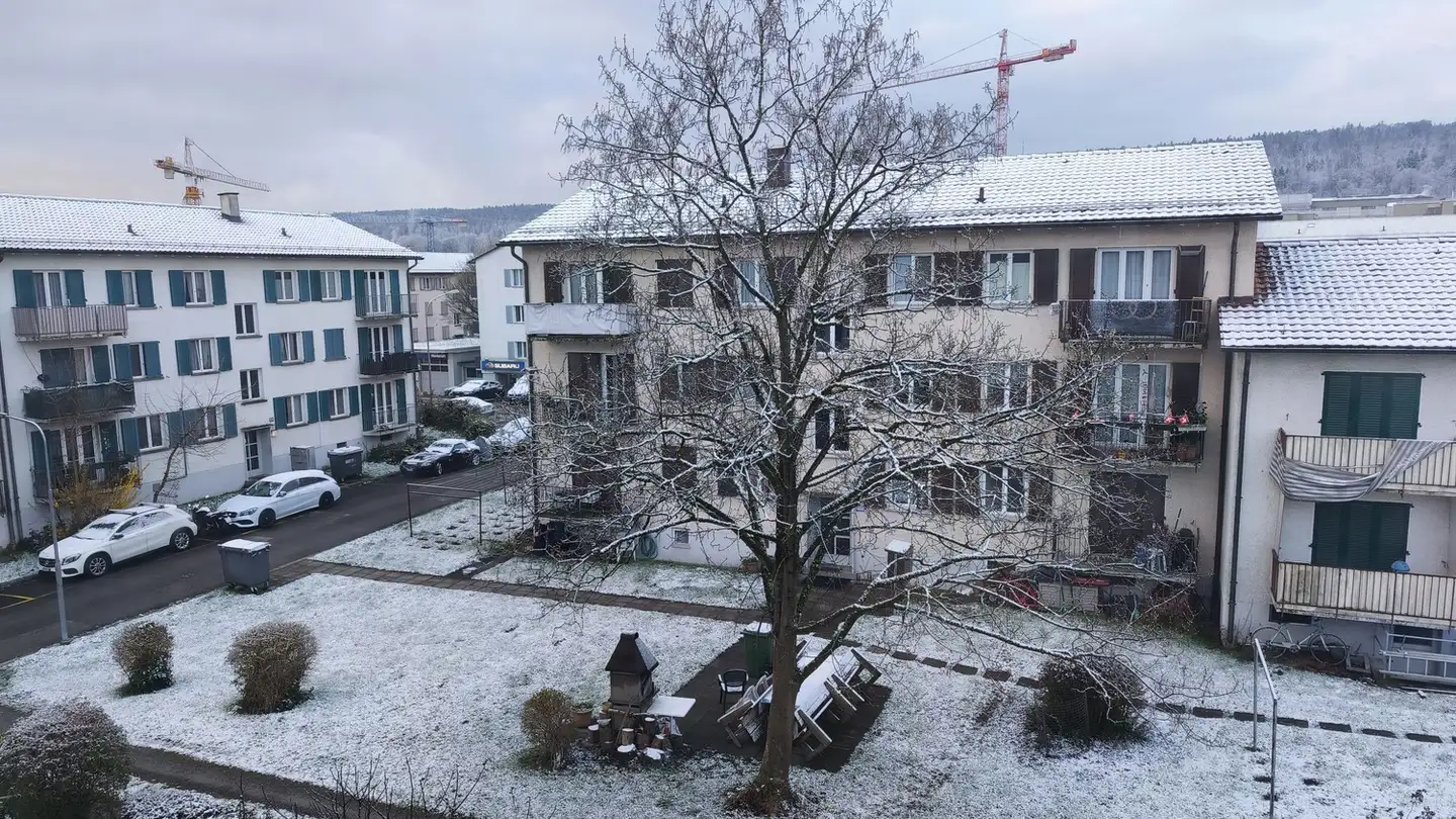 Appartement à louer - Luegislandstrasse 357, 8051 Zürich - Photo 2