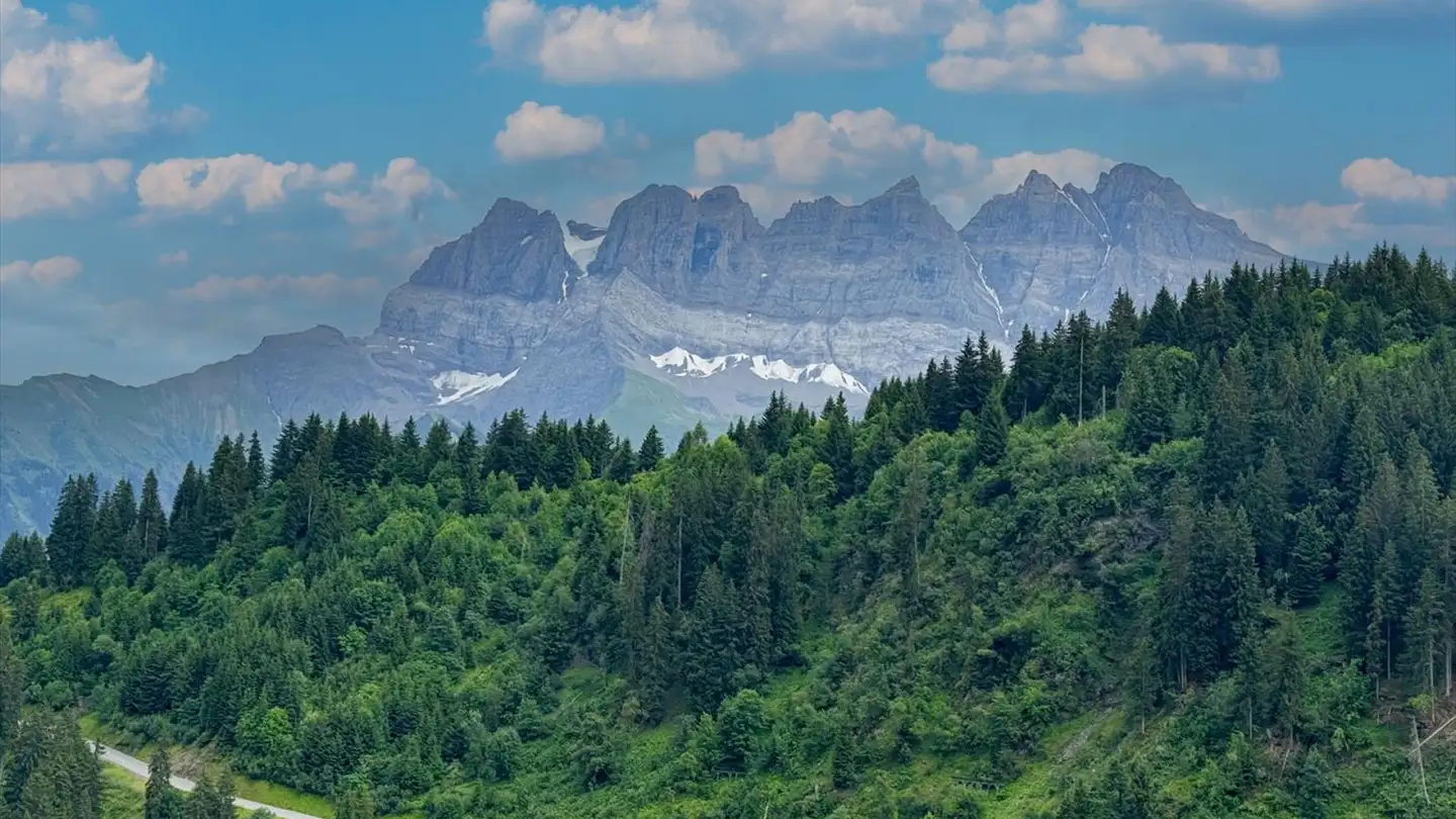 Wohnung kaufen - Route De Champoussin 22, 1873 Champoussin