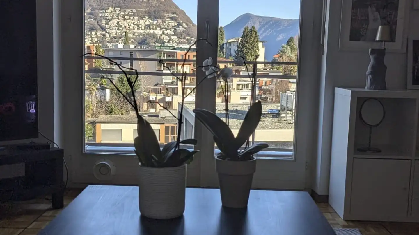 Wohnung mieten - Via Sorengo 22, 6900 Lugano - Foto 2