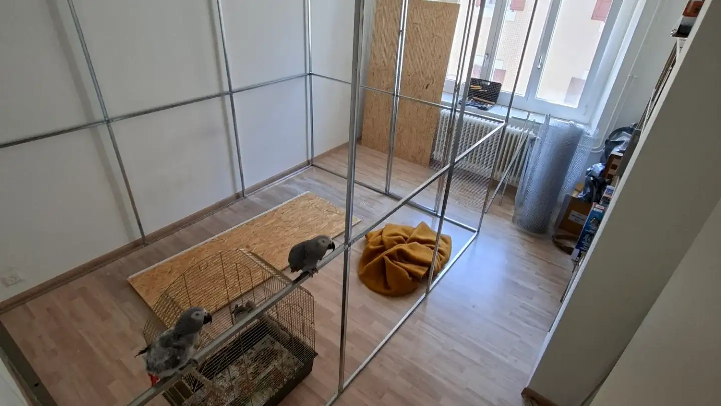 Zimmer mieten - Rue Du Musée 4, 2207 Coffrane