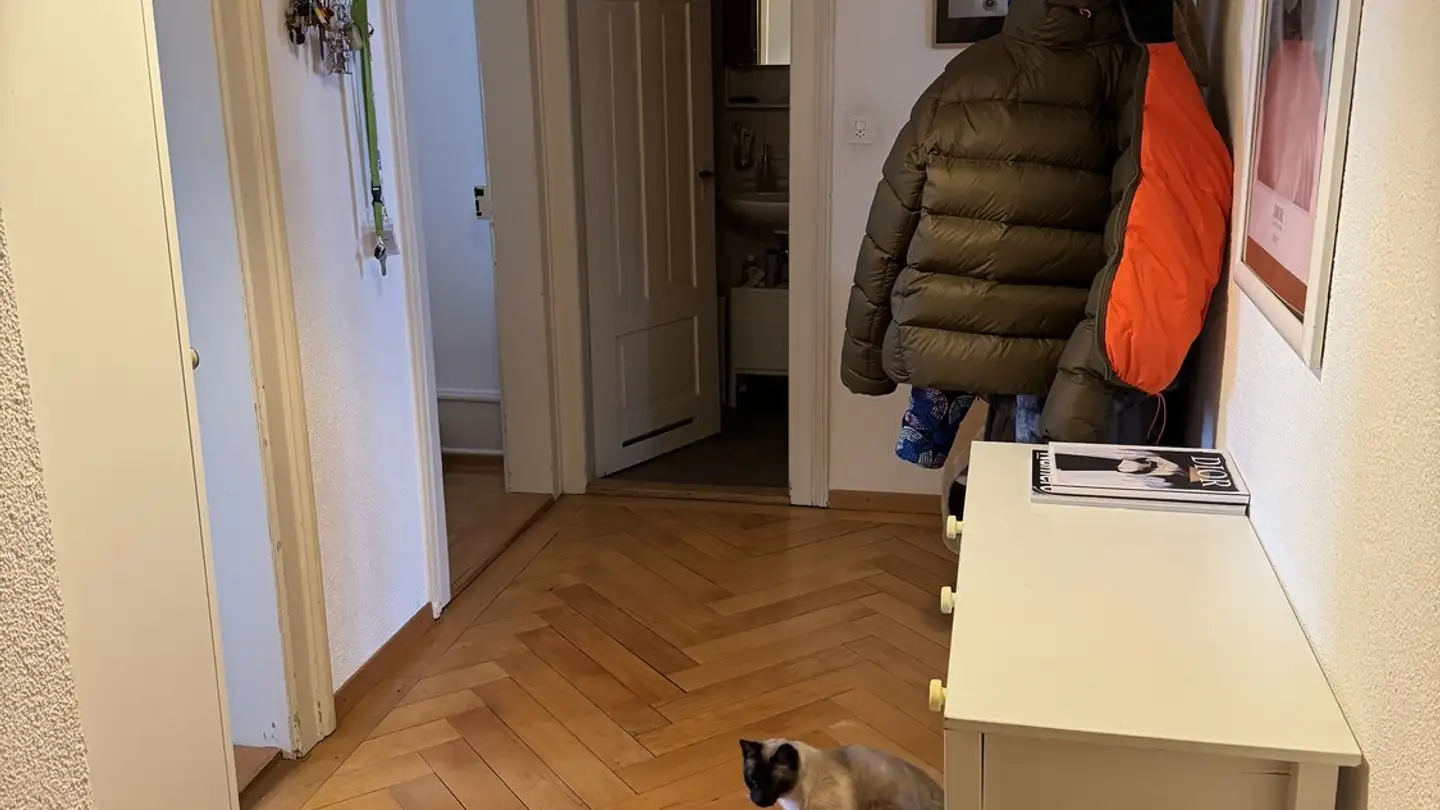 Stanza singola in affitto - 8003 Zürich - Foto 4