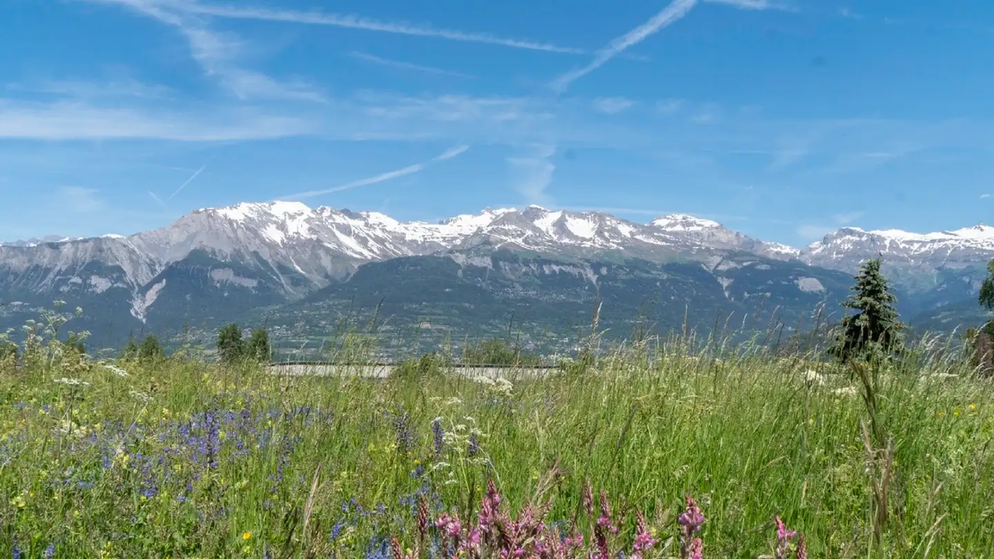 Single house for sale - Chemin De La Palette 28, 1973 Nax