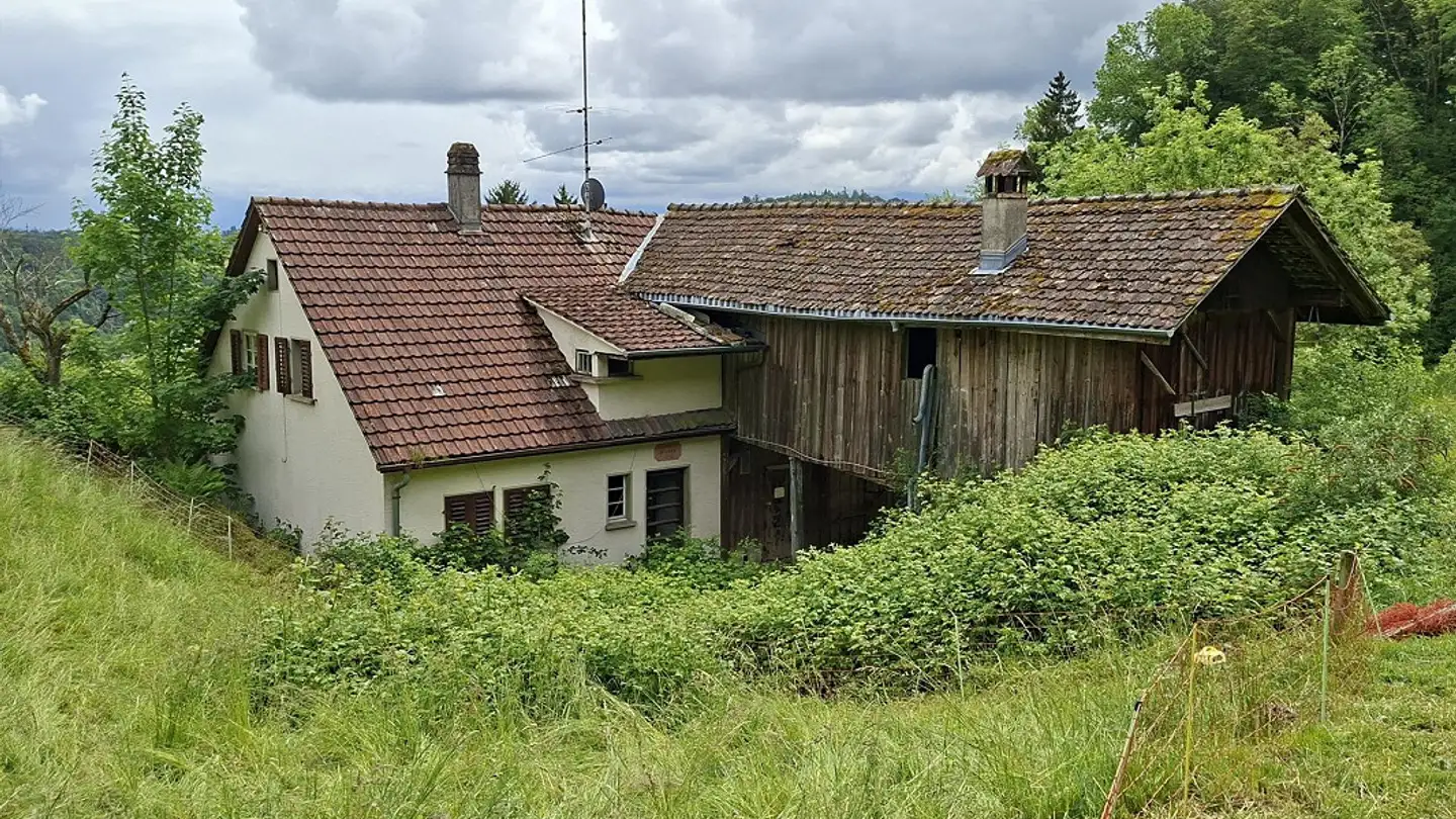 Bauernhof kaufen - Landolt-Junker-Strasse 30, 8134 Adliswil