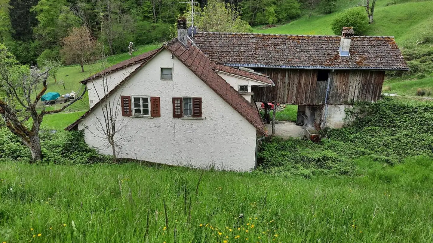 Bauernhof kaufen - Landolt-Junker-Strasse 30, 8134 Adliswil - Foto 3