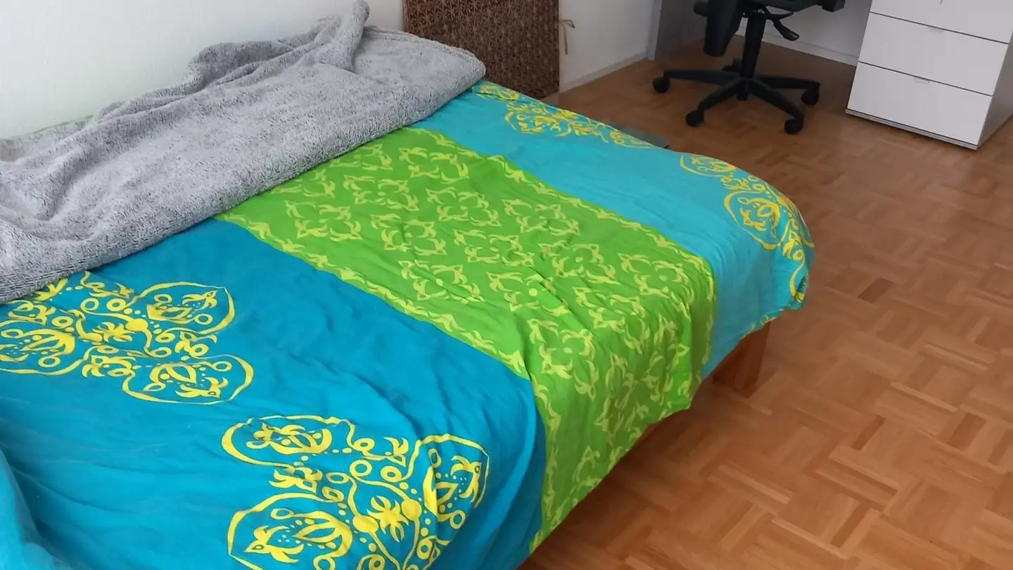 Chambre à louer - Güterstrasse, 4053 Basel - Photo 2