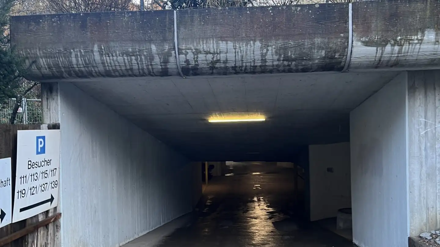 Einzelgarage mieten - Bachwiesenstrasse 111, 8047 Zürich - Foto 2