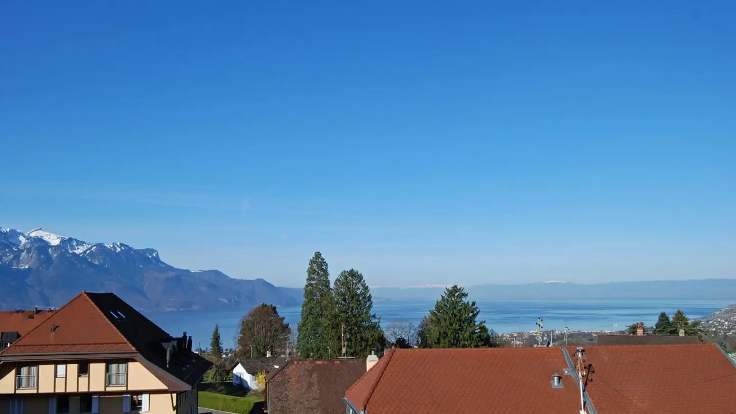 Wohnung kaufen - 1807 Blonay - Foto 4