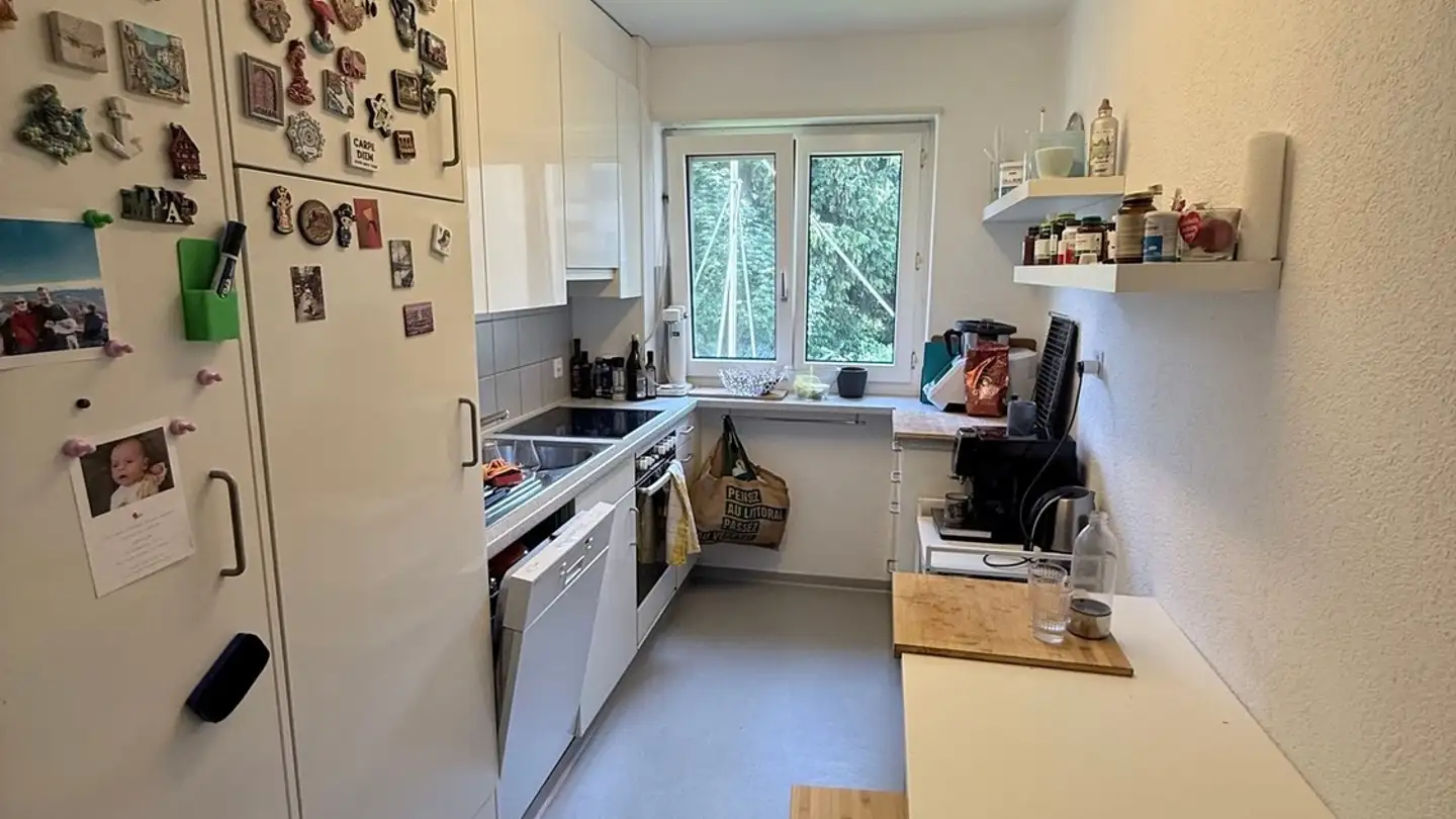 Chambre à louer - Murwiesenstrasse 22, 8057 Zürich - Photo 2