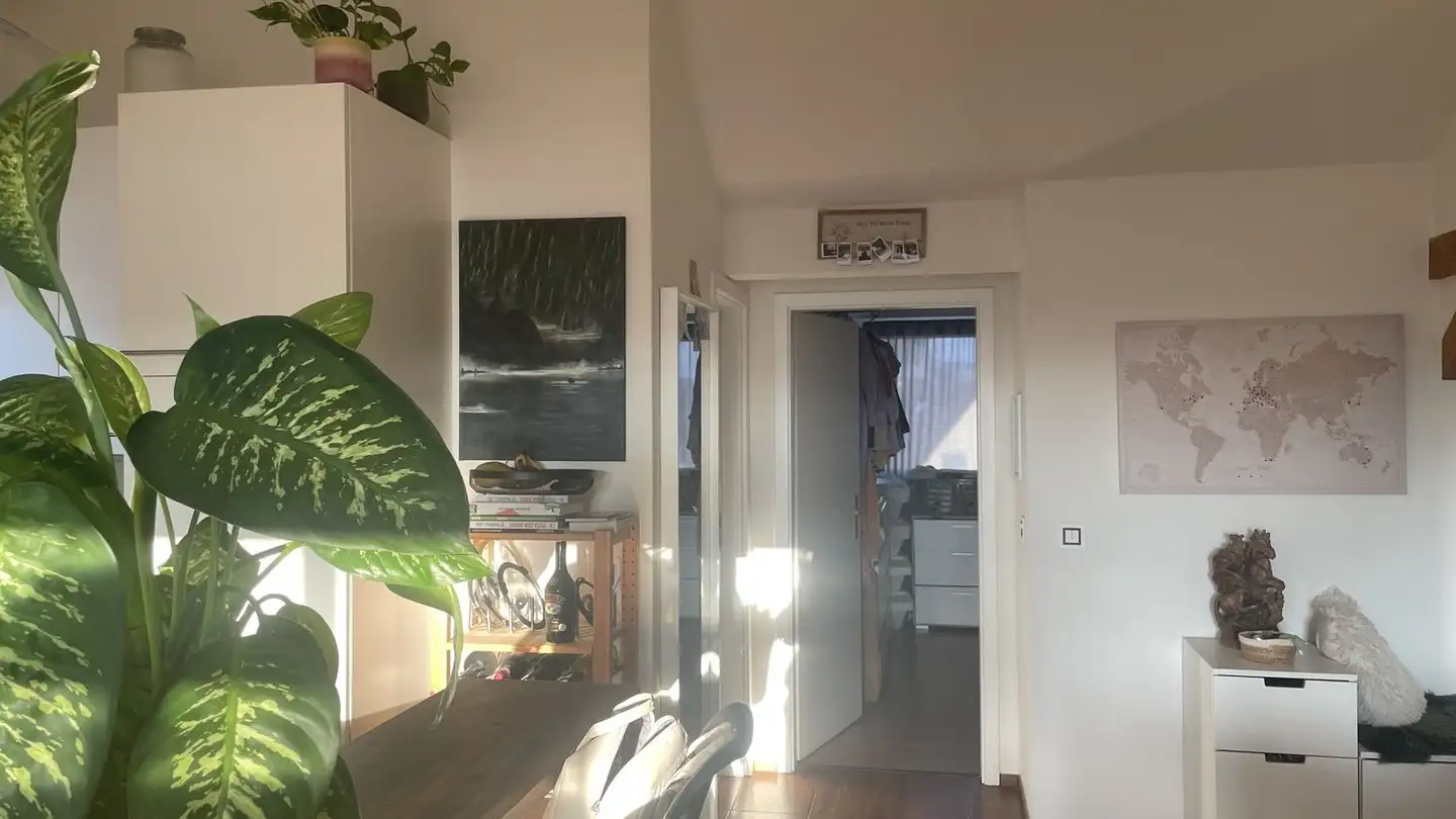 Apartment for rent - Feldblumenweg, 8048 Zürich