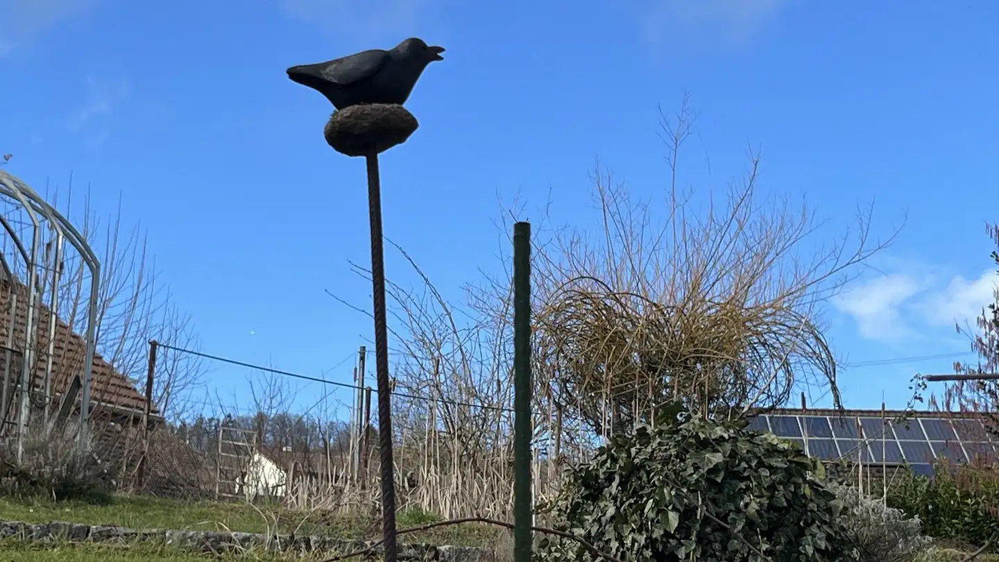 Edificio residenziale in vendita - Hauptstrasse 22, 5105 Auenstein - Photo 4