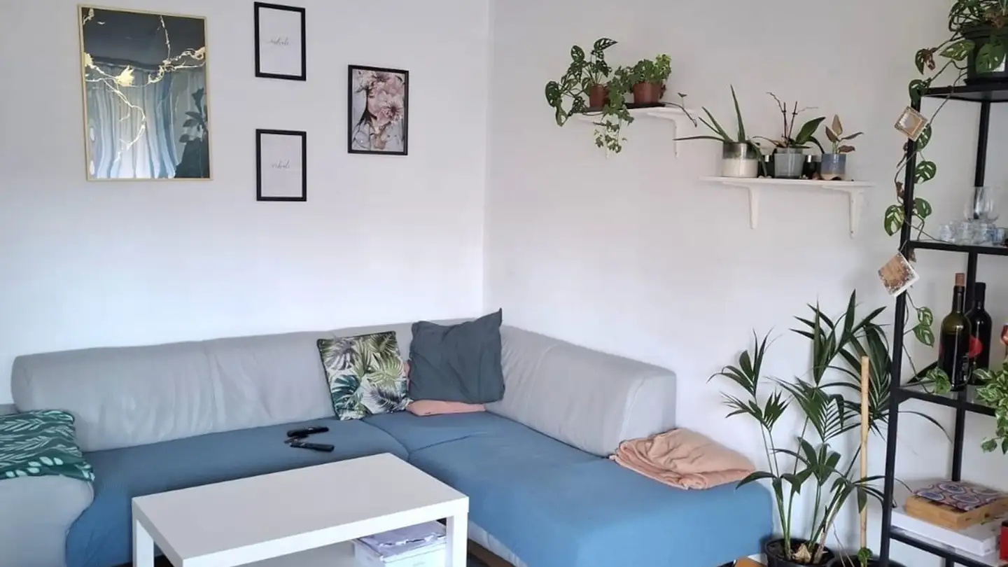 Stanza singola in affitto - 3098 Schliern b. Köniz - Photo 2