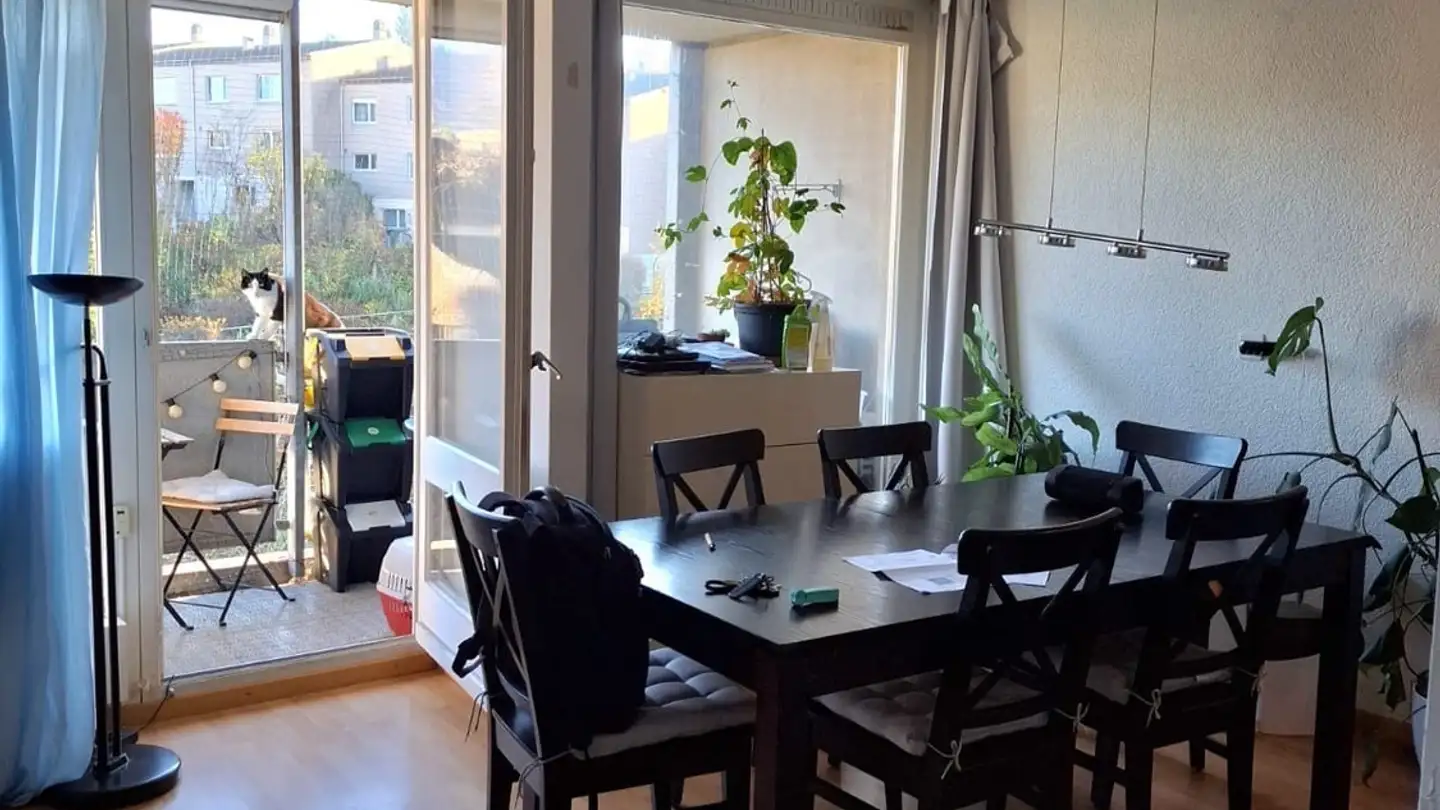 Stanza singola in affitto - 3098 Schliern b. Köniz - Photo 3