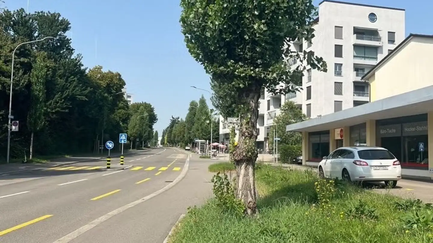 Commercial à louer - 8050 Zürich - Photo 2