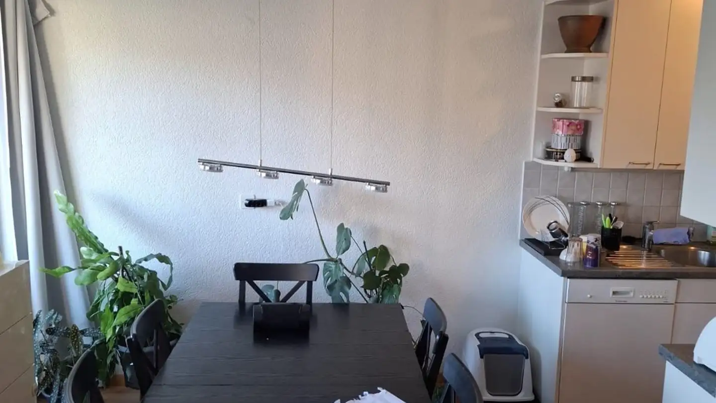 Stanza singola in affitto - 3098 Schliern b. Köniz - Photo 4