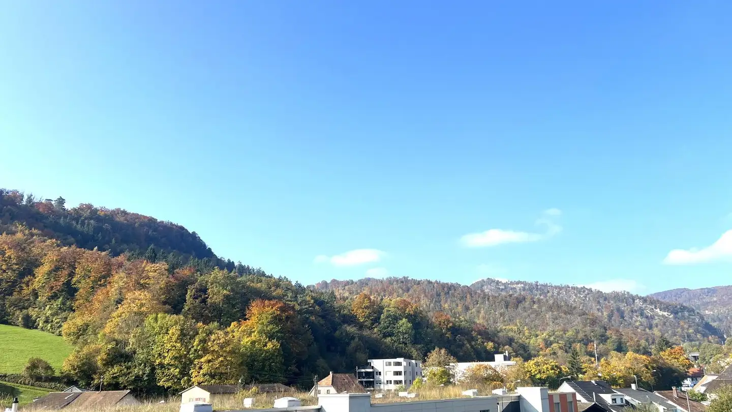 Attico in vendita - Baslerstrasse 176, 4632 Trimbach - Photo 2