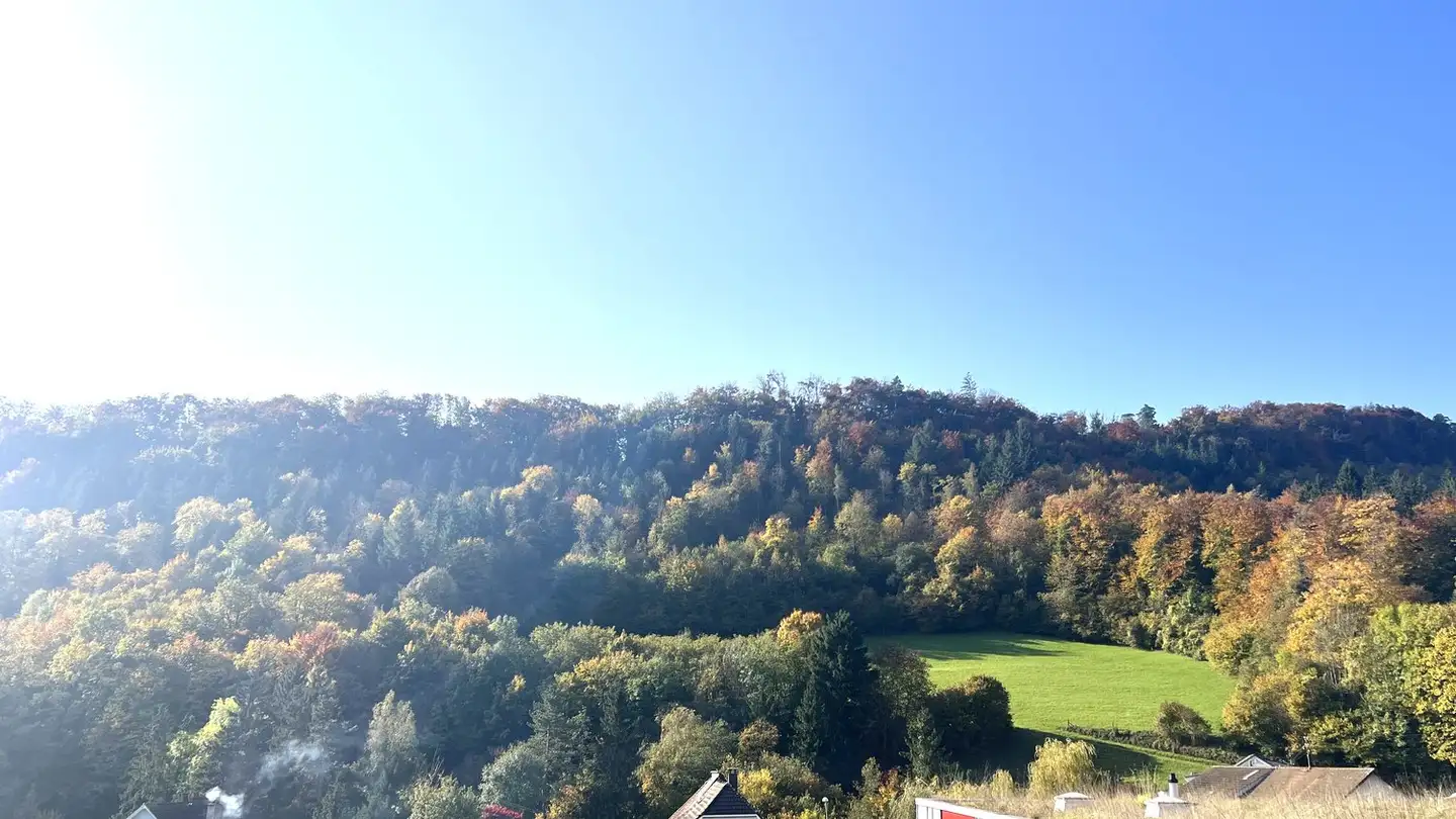 Penthouse for sale - Baslerstrasse 176, 4632 Trimbach