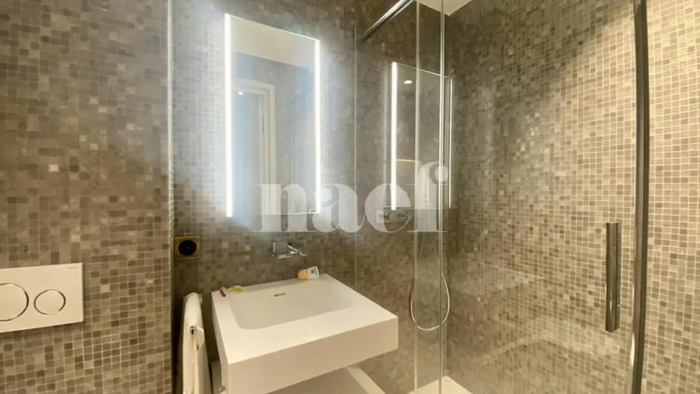 Wohnung mieten - Rue Etienne- Dumont, 1204 Genève - Foto 4