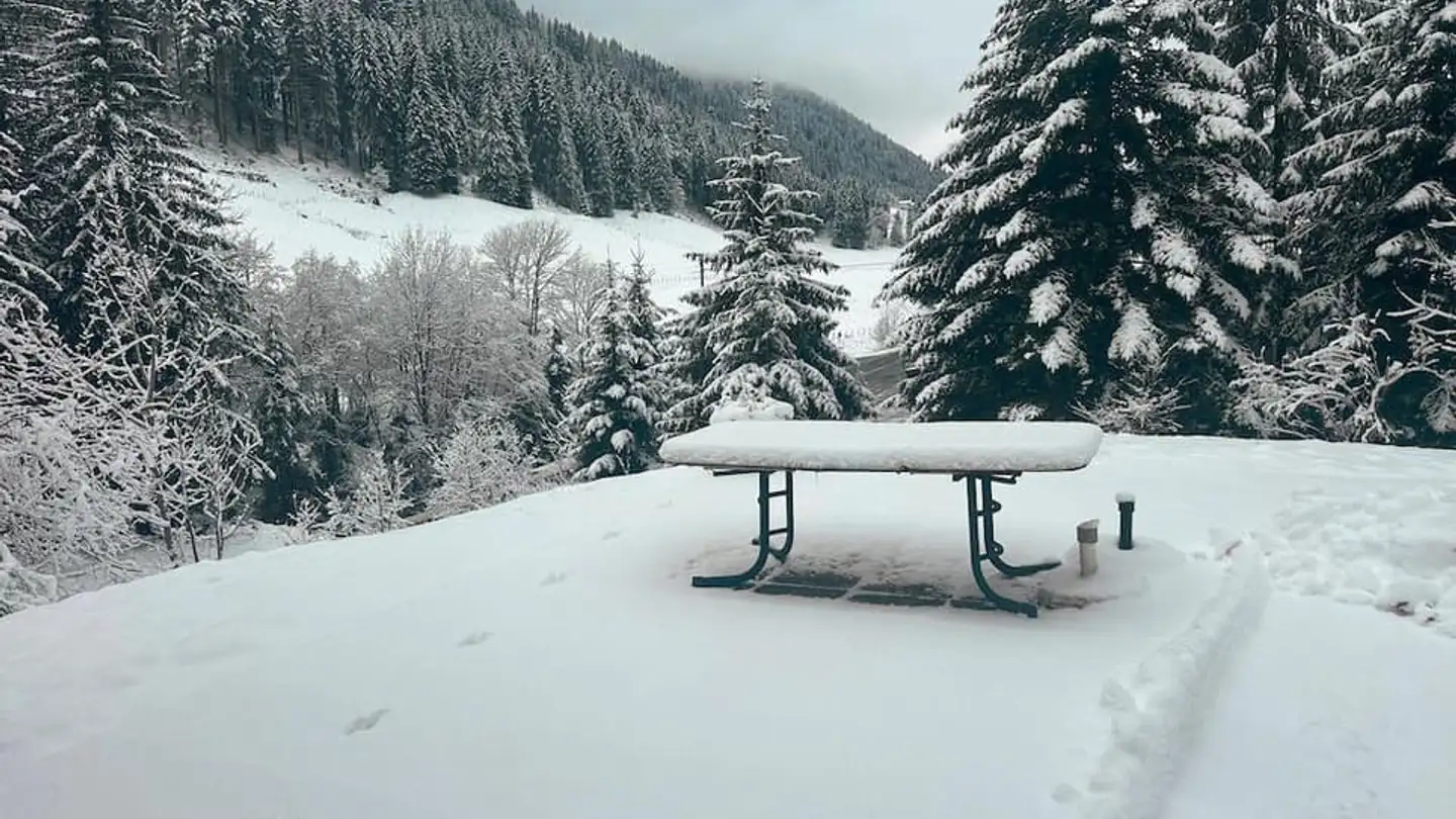 Einfamilienhaus kaufen - 1875 Morgins