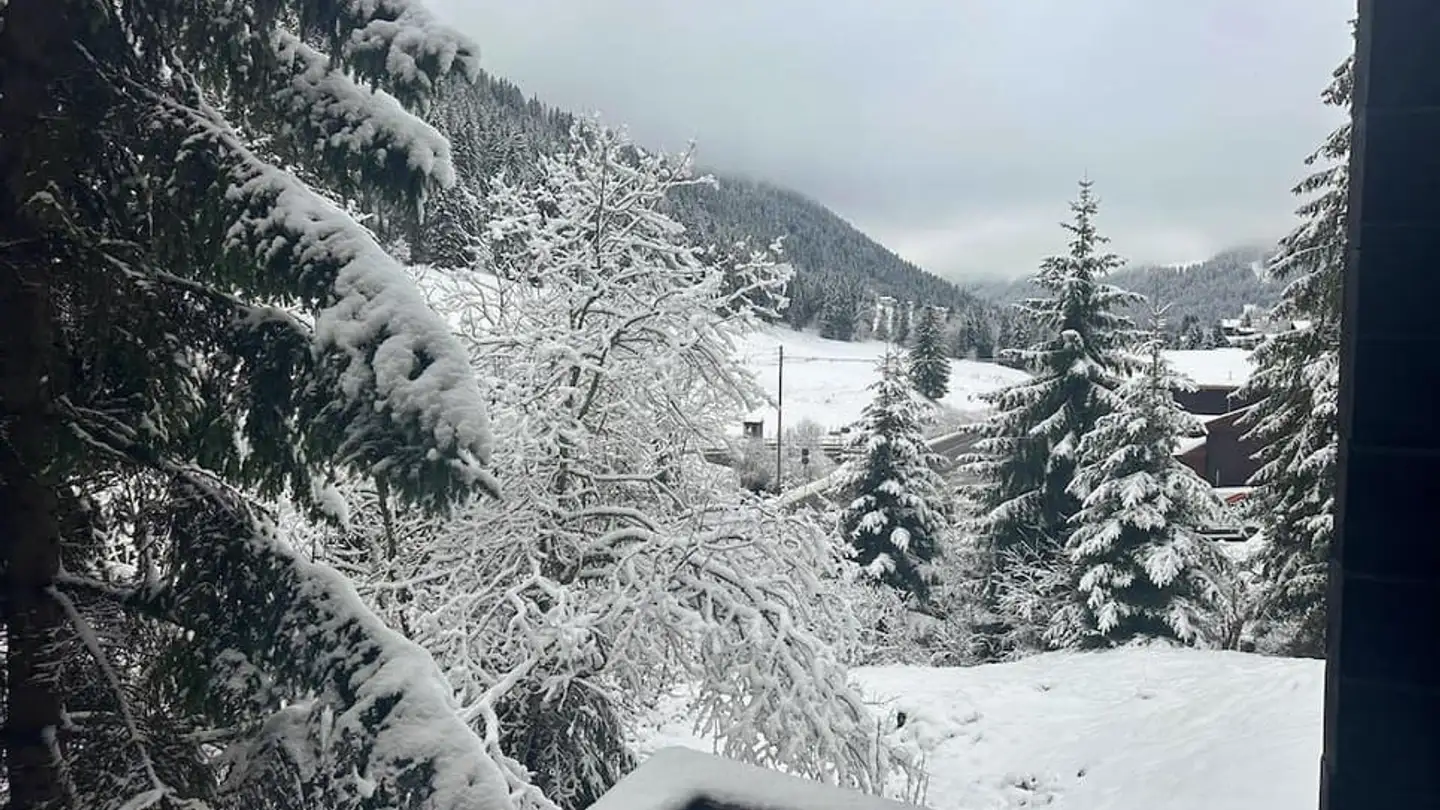 Einfamilienhaus kaufen - 1875 Morgins - Foto 3