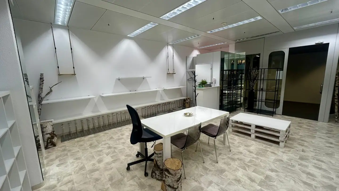 Gewerbe mieten - Thurgauerstrasse 117, 8152 Glattpark (Opfikon)