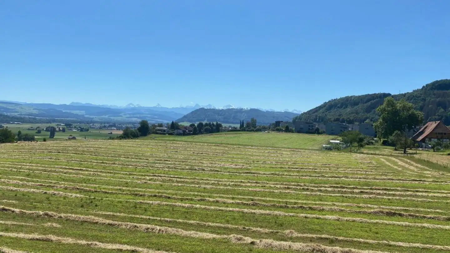 Apartment for rent - Sandbühlstrasse, 3122 Kehrsatz - Photo 3