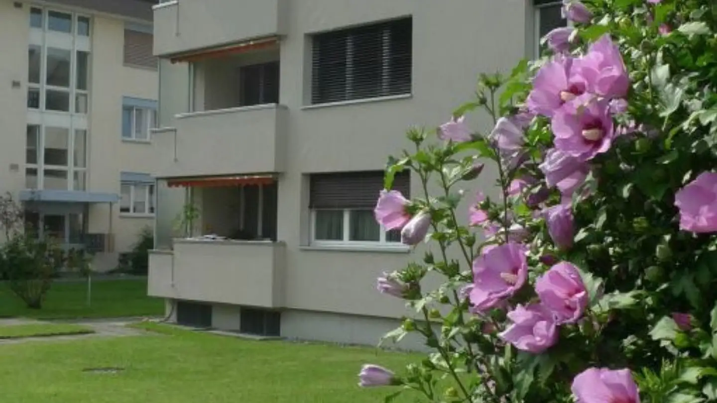 Wohnung mieten - Weitenzelgstrasse 21, 8590 Romanshorn - Foto 2