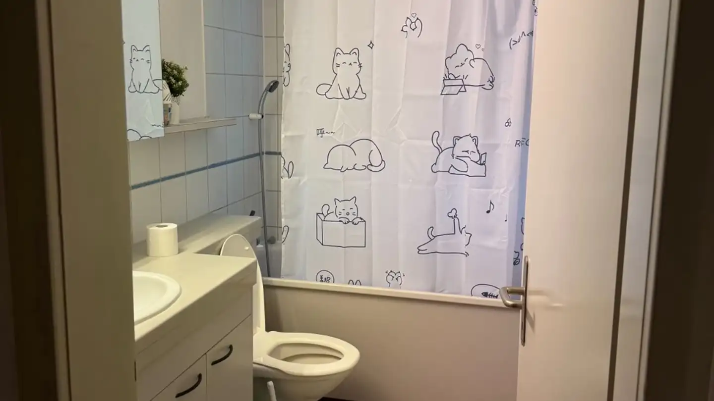 Appartamento in affitto - 8200 Schaffhausen - Foto 2