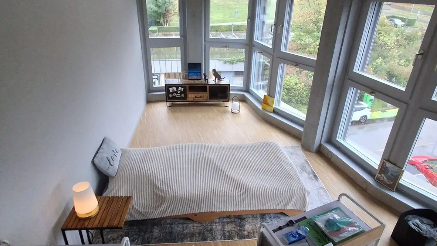 Apartment for rent - Birmensdorferstrasse 485, 8055 Zürich - Photo 2