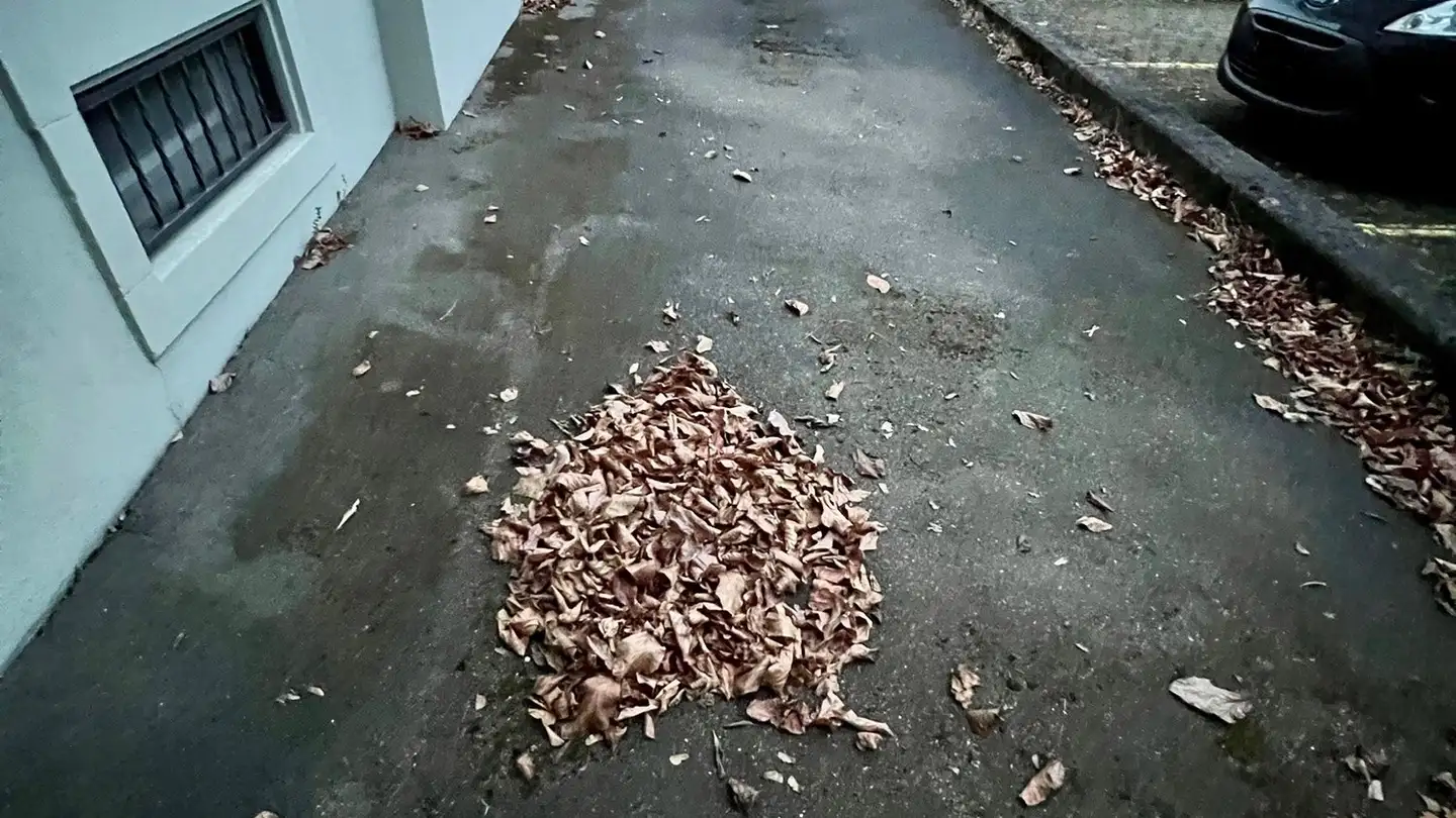 Outdoor parking space for rent - Asylstrasse 30, 5000 Aarau - Photo 2