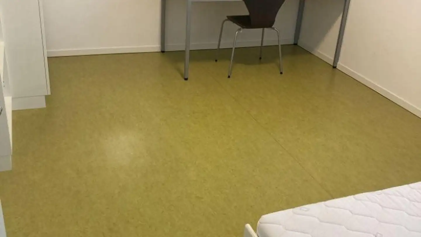 Chambre à louer - Bürglistrasse 23, 8400 Winterthur