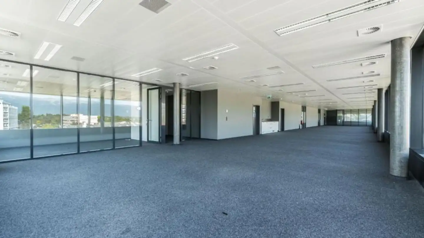 Commercial for rent - Chemin Du Château-Bloch 11, 1219 Le Lignon