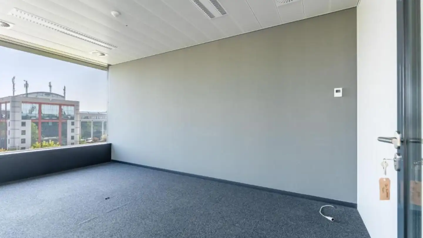 Commercial for rent - Chemin Du Château-Bloch 11, 1219 Le Lignon - Photo 4