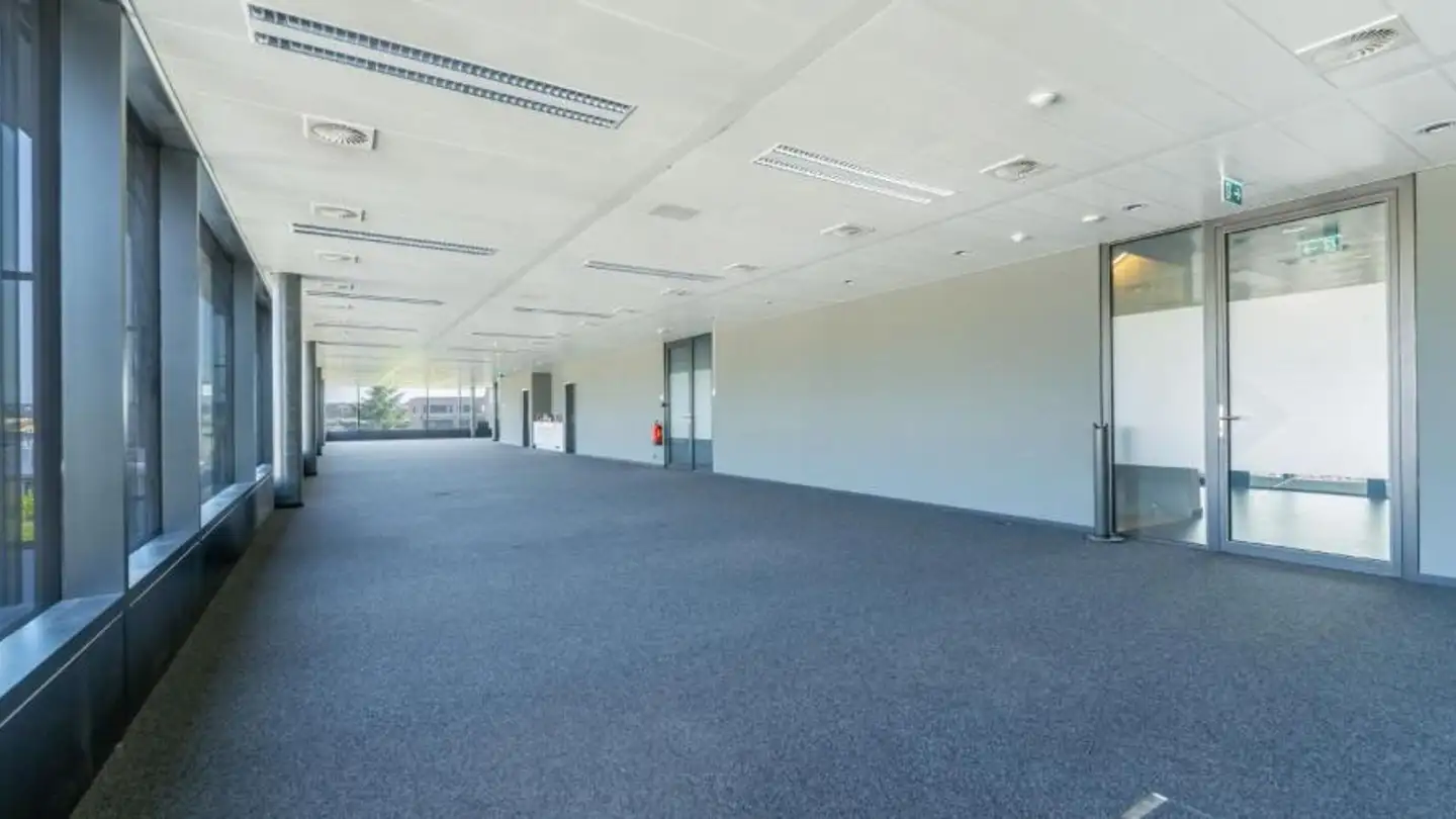 Commercial for rent - Chemin Du Château-Bloch 11, 1219 Le Lignon - Photo 2