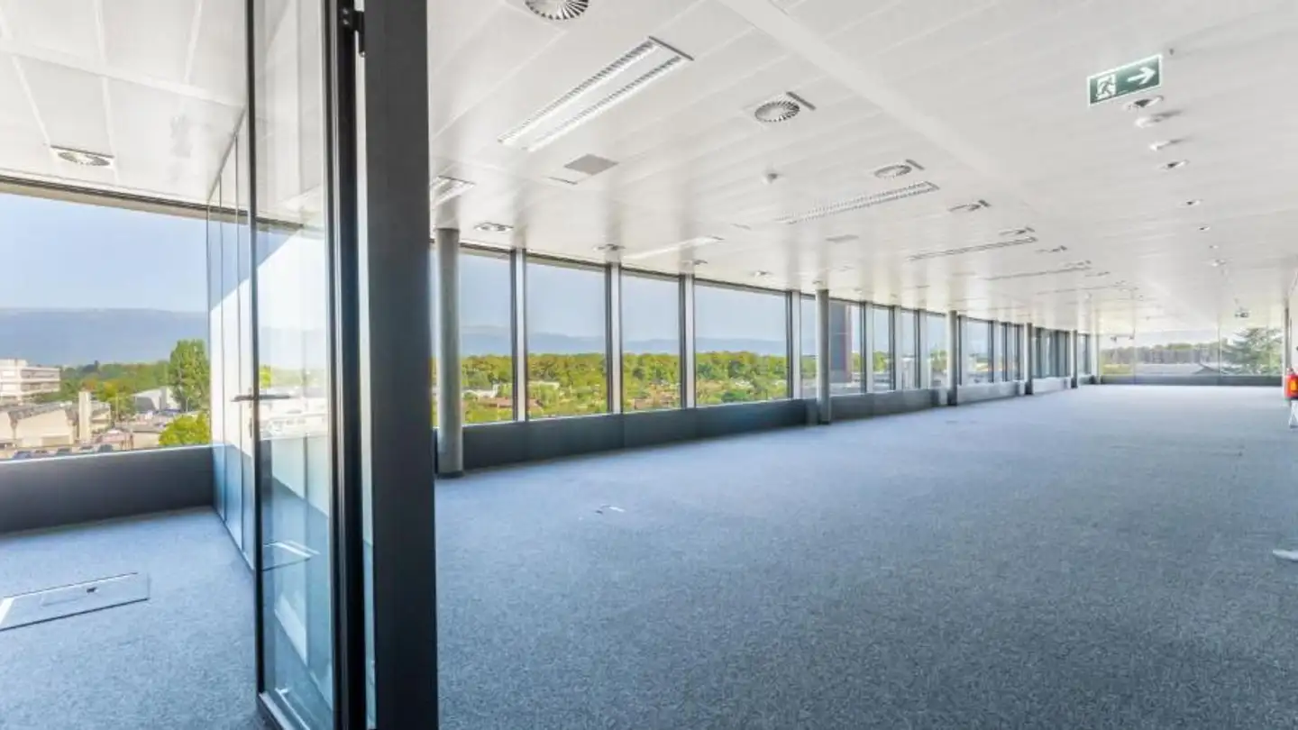 Commercial for rent - Chemin Du Château-Bloch 11, 1219 Le Lignon - Photo 3