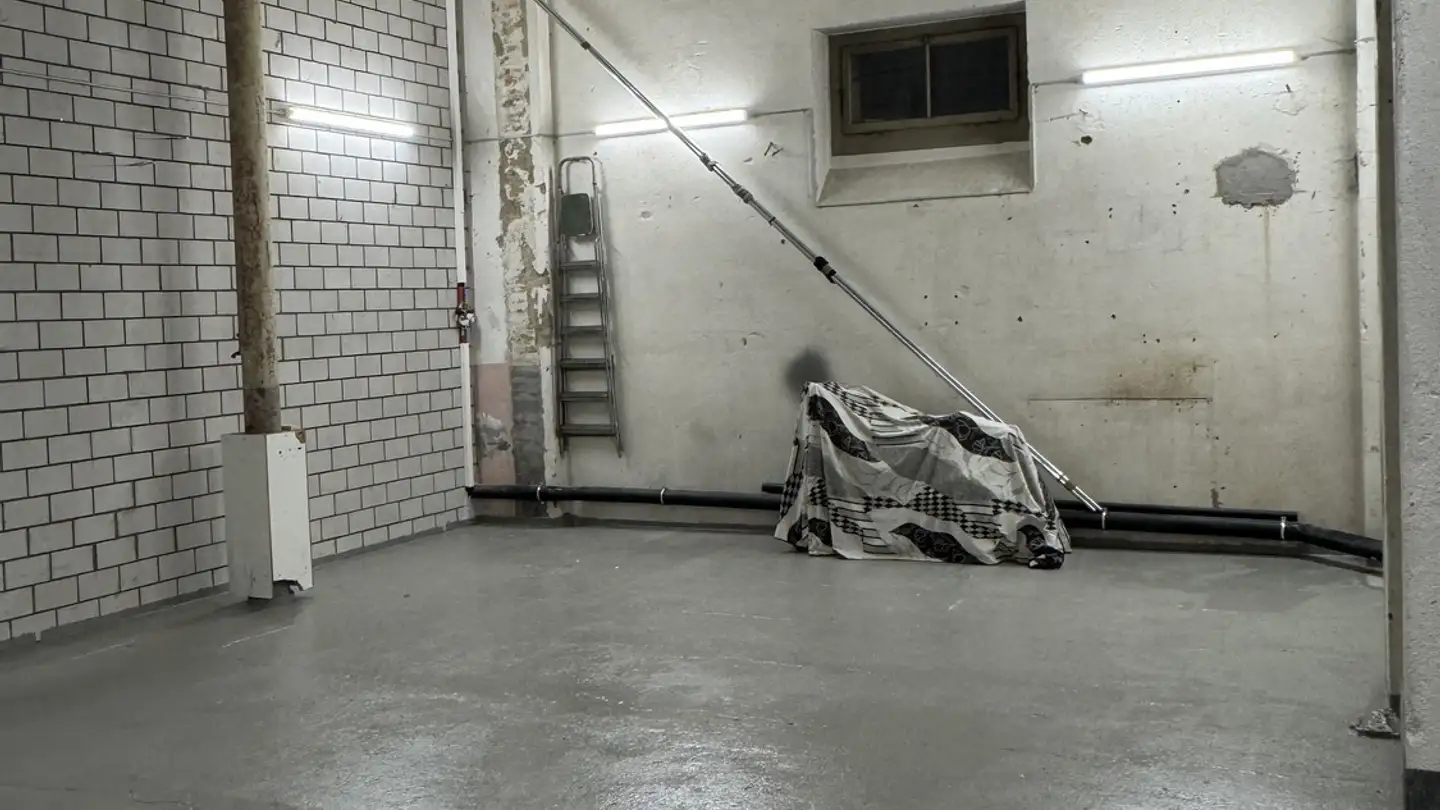 Commercial à louer - Asylstrasse 9, 8810 Horgen - Photo 3