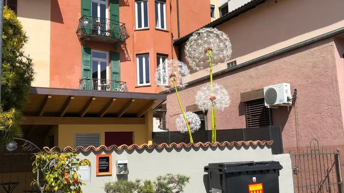 Mehrfamilienhaus kaufen - Vicolo Devecis, 6600 Muralto - Foto 2