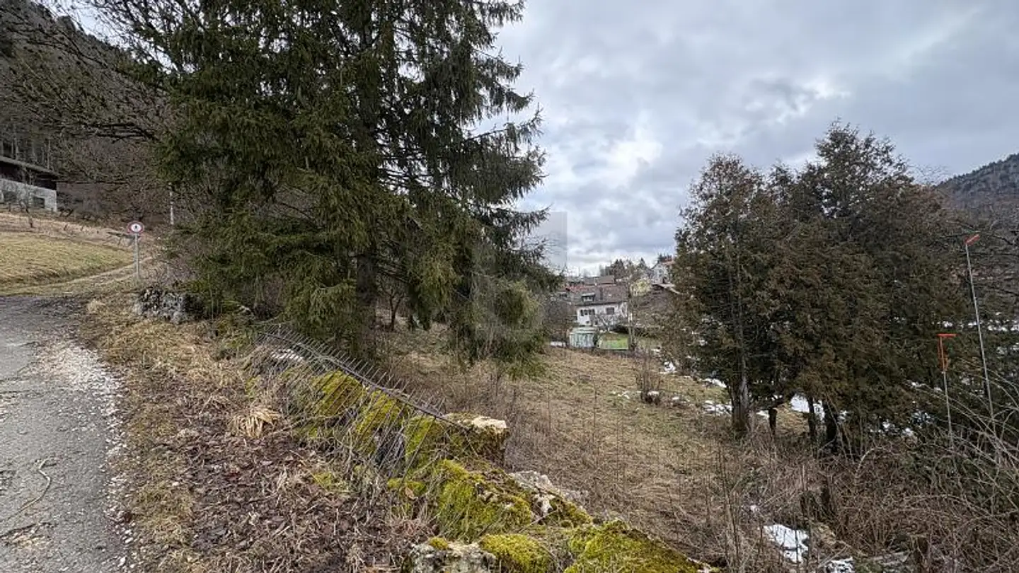 Commercial for sale - 2615 Sonvilier - Photo 2