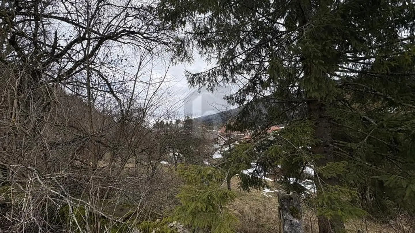 Commercial for sale - 2615 Sonvilier - Photo 3