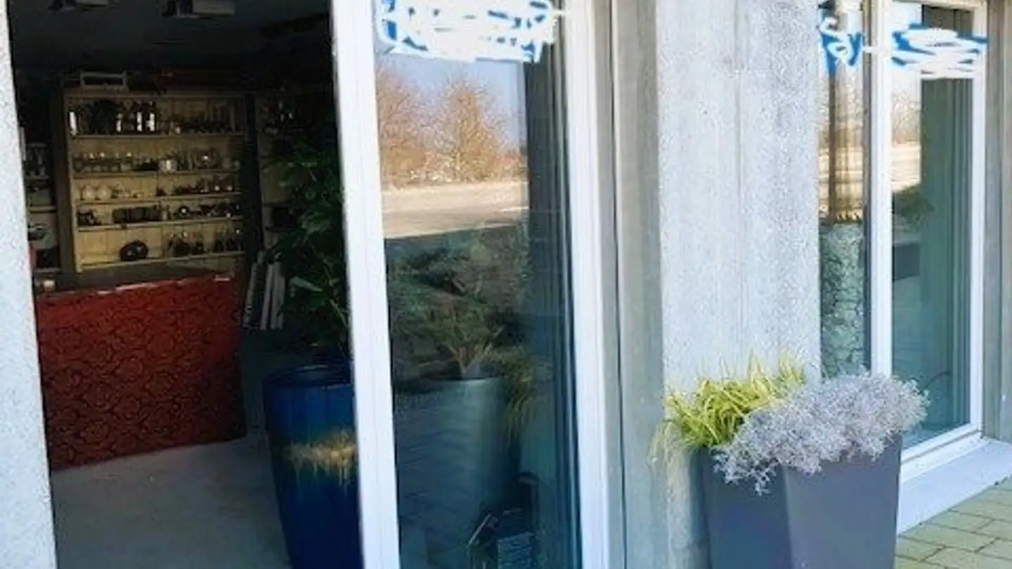 Magasin à louer - Rue Des Caroubiers 15, 1227 Carouge GE - Photo 4