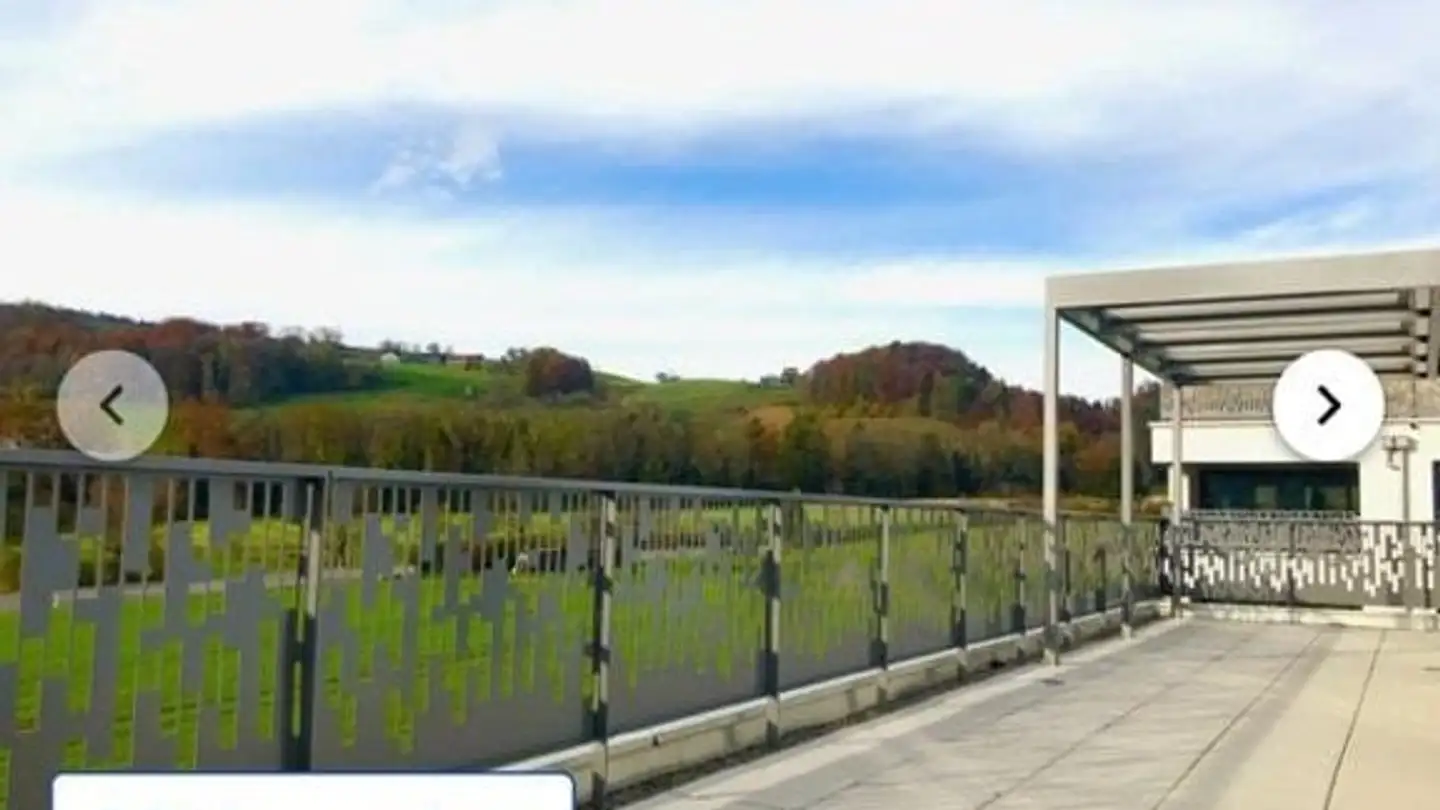 Appartamento in affitto - Zelgli 3, 8413 Neftenbach