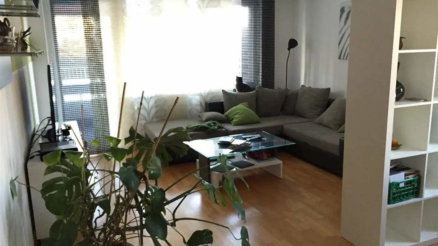 Appartement à louer - Bernstrasse 33, 3400 Burgdorf