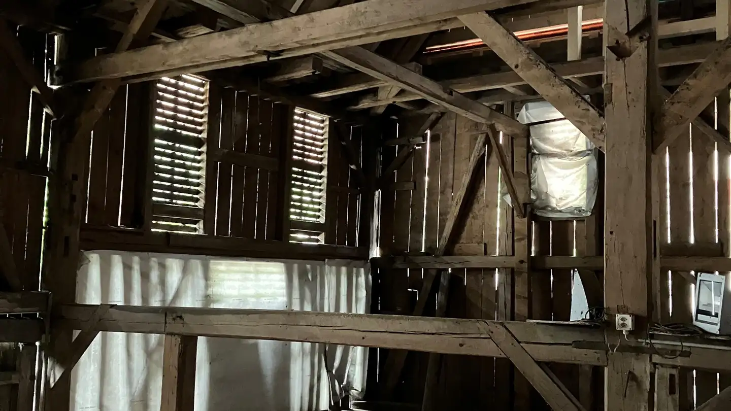 Mixed-use building for rent - Zürichstrasse 13b, 8607 Aathal-Seegräben - Photo 2